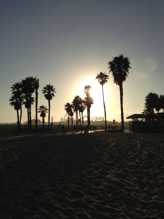 SANTA MONICA BEACH SILHOUETTE